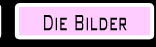 die bilder